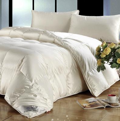 安徽鴻潤(集團)股份創(chuàng)立于1991年,是目前國內(nèi)主要的羽絨制品