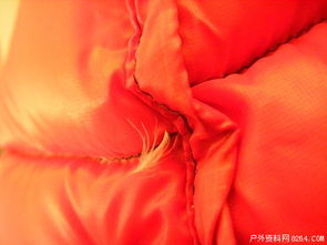 超輕面料羽絨制品鉆絨現象全解析 以事實說話，理性看待品質挑戰